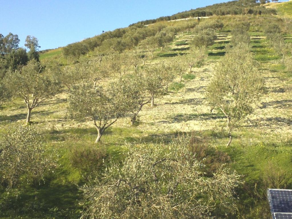 Agriturismo Due Ganee Villa Agrigento Eksteriør bilde